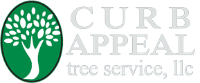 Curb Appeal Tree Services Memphis & North MS
