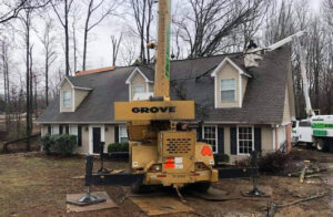 Memphis Tree Service and Removal